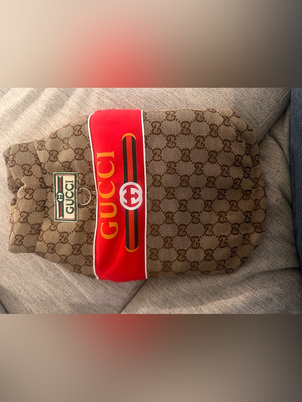 FASHION Brown & Red Monogram Dog Coat